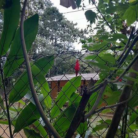 Sitio Das Bromelias Cachoeira Do Tombador 乌巴图巴 外观 照片