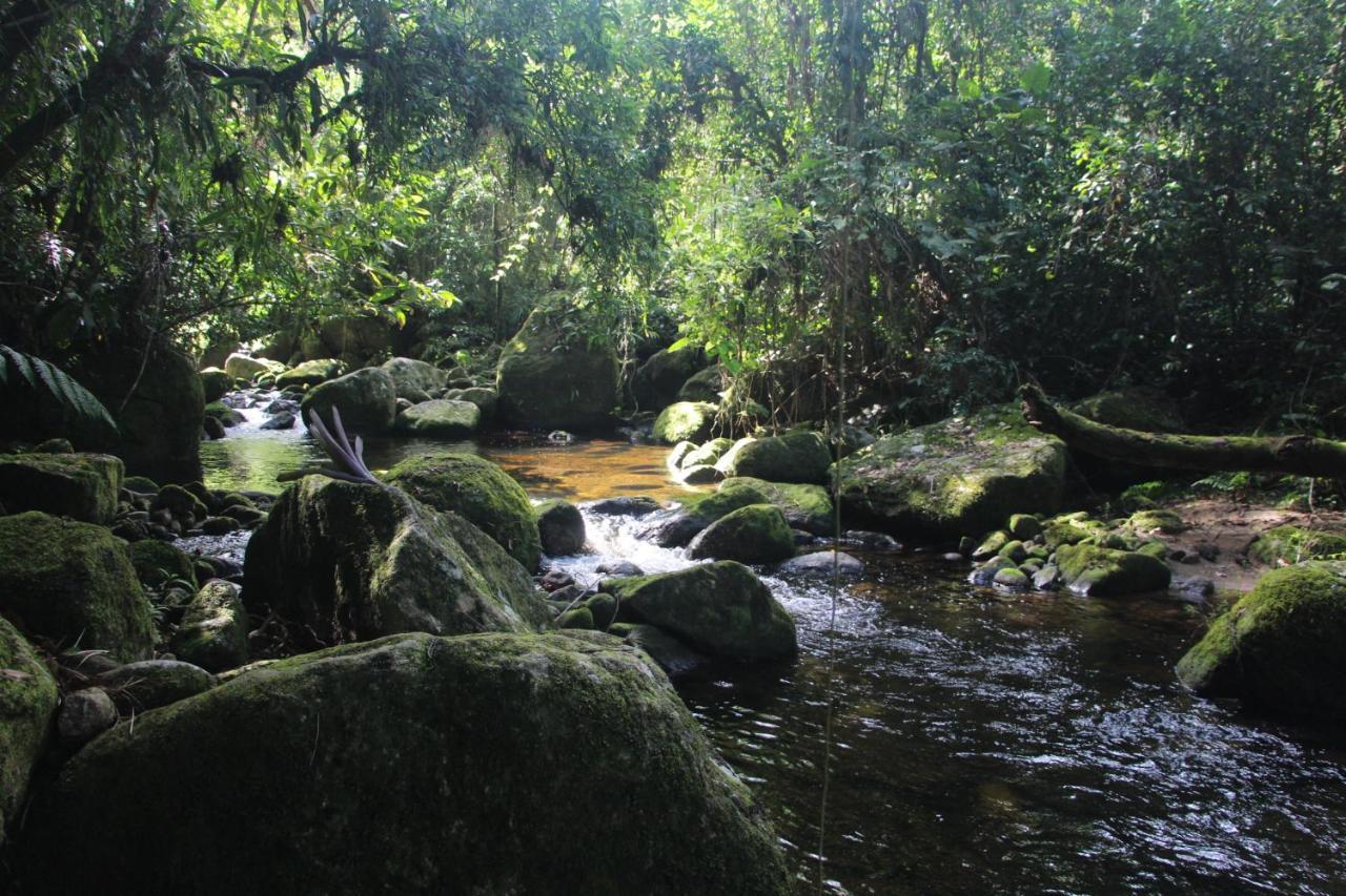 Sitio Das Bromelias Cachoeira Do Tombador 乌巴图巴 外观 照片